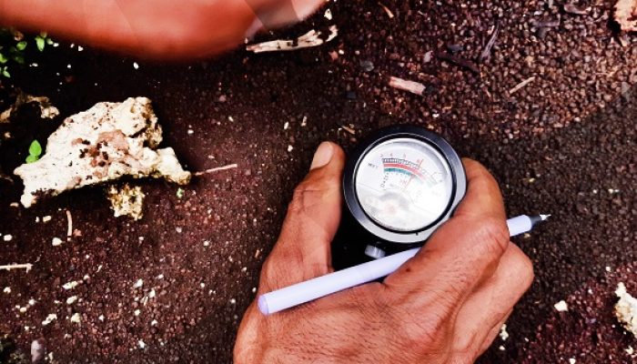 Pengecekan pH Tanah, Pangkalan Data Haruku, Maluku. 2022